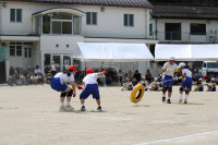 IMG_5534