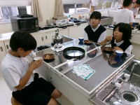 101_1336