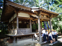 DSC00741