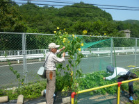 P1070539